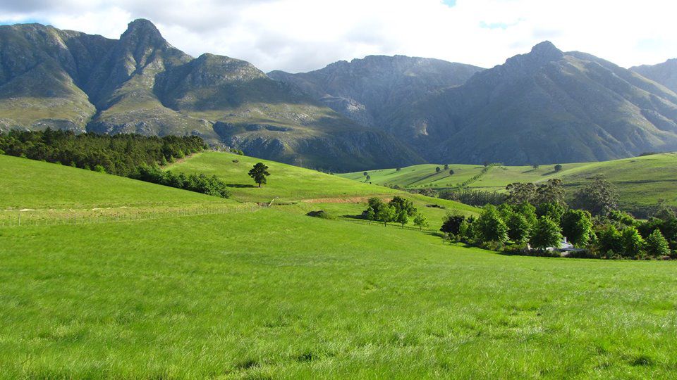 Eenuurkop Farm, Swellendam
