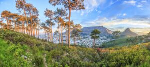 Cape Town Panoramic